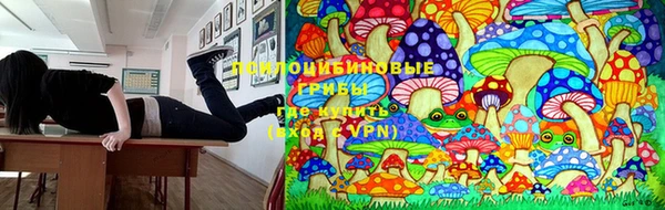 гидропоника Абдулино